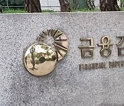 금감원, '손태승 친인척 대출' 우리저축은행·캐피탈도 현장검사 예정