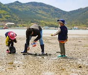 경남에서 '뻘짓'하세요…어촌체험휴양마을 2곳 주말어장 운영