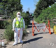 김포 양돈농장 아프리카돼지열병(ASF) 발생