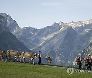 SWITZERLAND ALPS