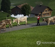 SWITZERLAND ALPS