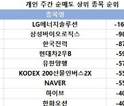 코스피 주간 개인 순매도 1위 'LG에너지솔루션'