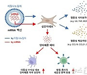 질병청 "코로나19 mRNA 백신, 초기 면역반응 규명"