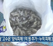 경남 ‘고수온’ 양식피해 1억 원 추가…누적 피해 309억 원