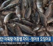 동해안 어획량 어종별 차이…청어↑ 오징어↓