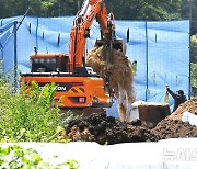 추석 앞두고 이천 젖소농장 럼피스킨 발생 [뉴시스Pic]