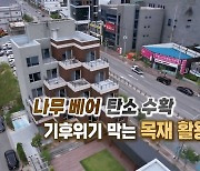 [연합뉴스TV 스페셜] 나무 베어 탄소 수확…기후위기 막는 목재 활용법