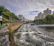 농어촌공사, 물고기 생명길 '어도' 사진·숏폼 공모