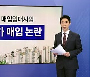 "고가 매입 없다" LH, 신축매입임대 '공사비 연동형'으로 산정 [앵커리포트]