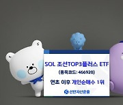 투자자금 끌어모으는 신한운용 `조선TOP3플러스`…국내주식형 ETF 중 개인 순매수 1위