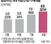 3년 전 '빚투 악몽' 재현…8월 가계대출 8.3조 불어