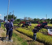 Farmers express their anger as rice prices plummet