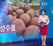 농촌진흥청 정례브리핑(08.26) [브리핑 인사이트]