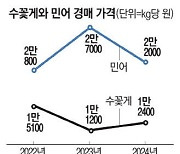 온난화에 어획량 증가 꽃게 할인 이유있었네