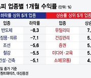 "삼전·현대차 잠시 안녕"…이 종목으로 갈아탄 개미들 웃었다