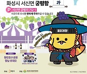 화성송산포도 축제 7일 개최..."싸고 품질좋은 포도 만나보세요"