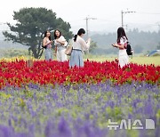 제주, 맑다가 오후부터 구름 '많음'…낮 기온 30~32도