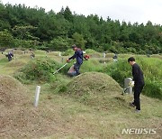 합천서 벌초하다 50대 벌에 쏘여 숨져