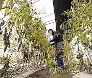 익산시, 수해 현장에 9천700만원 투입…한국지방재해공제회 지원