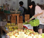 8월 소비자 물가 2%↑ 3년 5개월 만에 최저폭