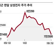 삼성전자 한 달 수익률, 세계 100대 상장사 중 꼴찌...  外人 왜 떠나나