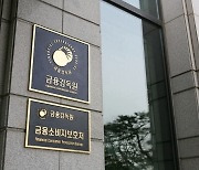 연이은 은행권 대형 부당대출·횡령...“여신 모범규준 연내 마련”