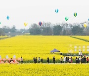 중국, 캐나다 유채씨 반덤핑조사…중국 전기차 관세 대응 성격