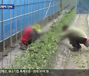 [집중취재] 불법 체류 외국인 급증…단속도 덩달아 늘어