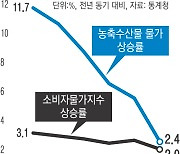 여전히 ‘금채소’인데?…8월 물가 상승률 3년5개월 만에 최저