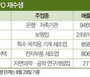 대어 케이뱅크·서울보증보험 그리고…