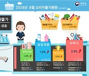 [속보]8월 소비자물가 2.0% "41개월 만에 최저"