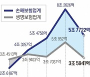 종신보험은 지고 보장성 뜨고… 손보 순익, 4년째 생보 앞질러