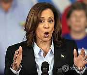 Election 2024 Harris