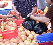 8월 물가 2.0%↑, 41개월만에 최저…농산물·유가 안정세(종합2보)