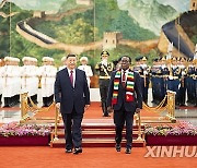 (FOCAC)CHINA-BEIJING-XI JINPING-ZIMBABWEAN PRESIDENT-TALKS (CN)