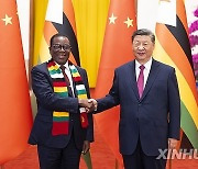 (FOCAC)CHINA-BEIJING-XI JINPING-ZIMBABWEAN PRESIDENT-TALKS (CN)