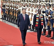 (FOCAC)CHINA-BEIJING-XI JINPING-ZIMBABWEAN PRESIDENT-TALKS (CN)