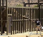 SOUTH AFRICA ZOO ELEPHANT RELOCATION