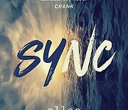 Book Review - Sync