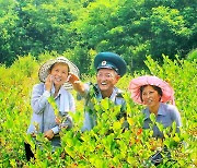 北 만경대구역 산림감독원 "보답의 일념 안고 산림초소 지켜"