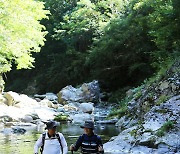 인제 아침가리계곡서 즐기는 트레킹