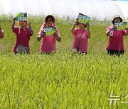 쌀값 보장 촉구