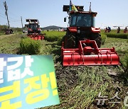 "자식 같은 벼 갈아엎었오" 부여 농민들 쌀값 폭락 항의시위