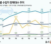 벤츠 화재에 얼어붙은 수입 전기차 시장…테슬라 18% '뚝'