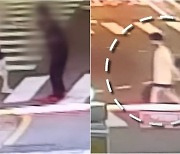 '일본도' 휘둘러 이웃 살해 CCTV 공개…범행 후 행동 '충격'