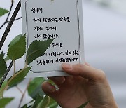 교사 70%, 언어·신체·성적 폭력에 노출…"학부모 대응 제일 힘들어"