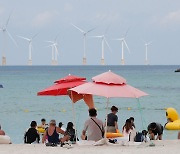 “야간 수영하다 일행이 안 보여요”...폐장한 제주 해수욕장서 수난 신고는 ‘진행 중’