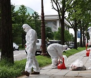 북한, 쓰레기 풍선 또 살포…합참 “경기북부 이동 가능성”