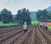 가을이 왔다 [똑똑! 한국사회]