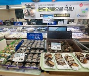 “청정 바다에서 키웠어요”… 영양 만점 ‘완도 전복’